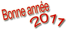 Bonne année 2011